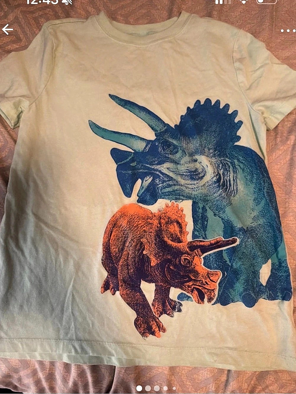 Carter's Boys Dinosaur Graphic Tee Green & Blue size 10/12